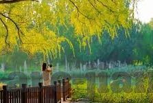 乐鱼体育提款秒到01-乐鱼体育提款秒到，打造极速金融体验新标准